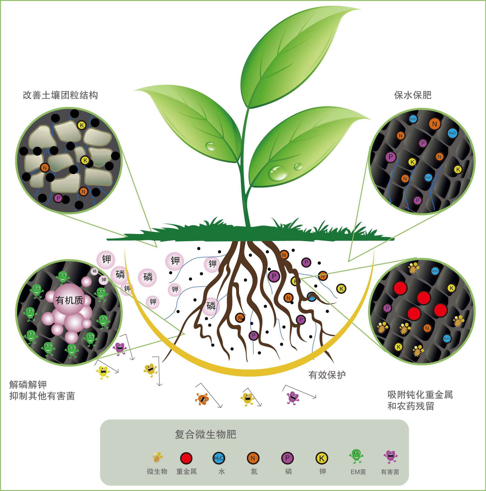 生物肥的类型有哪些